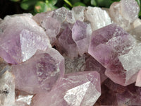 Natural Jacaranda Amethyst Quartz Cluster x 1 From Mumbwa, Zambia