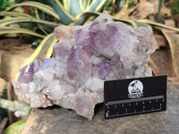 Natural Jacaranda Amethyst Quartz Cluster x 1 From Mumbwa, Zambia
