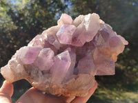 Natural Jacaranda Amethyst Quartz Cluster x 1 From Mumbwa, Zambia