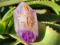 Polished Window Amethyst Quartz Crystals x 6 From Akansobe, Madagascar