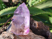 Polished Window Amethyst Quartz Crystals x 6 From Akansobe, Madagascar