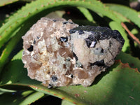 Natural Hyalite Opal Specimens with Black Tourmaline, Smokey Quartz on Feldspar x 1 From Erongo, Namibia