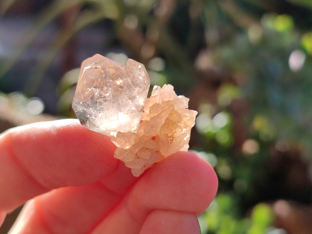 Natural Single Quartz Crystals x 70 From Brandberg, Namibia - Toprock Gemstones and Minerals 