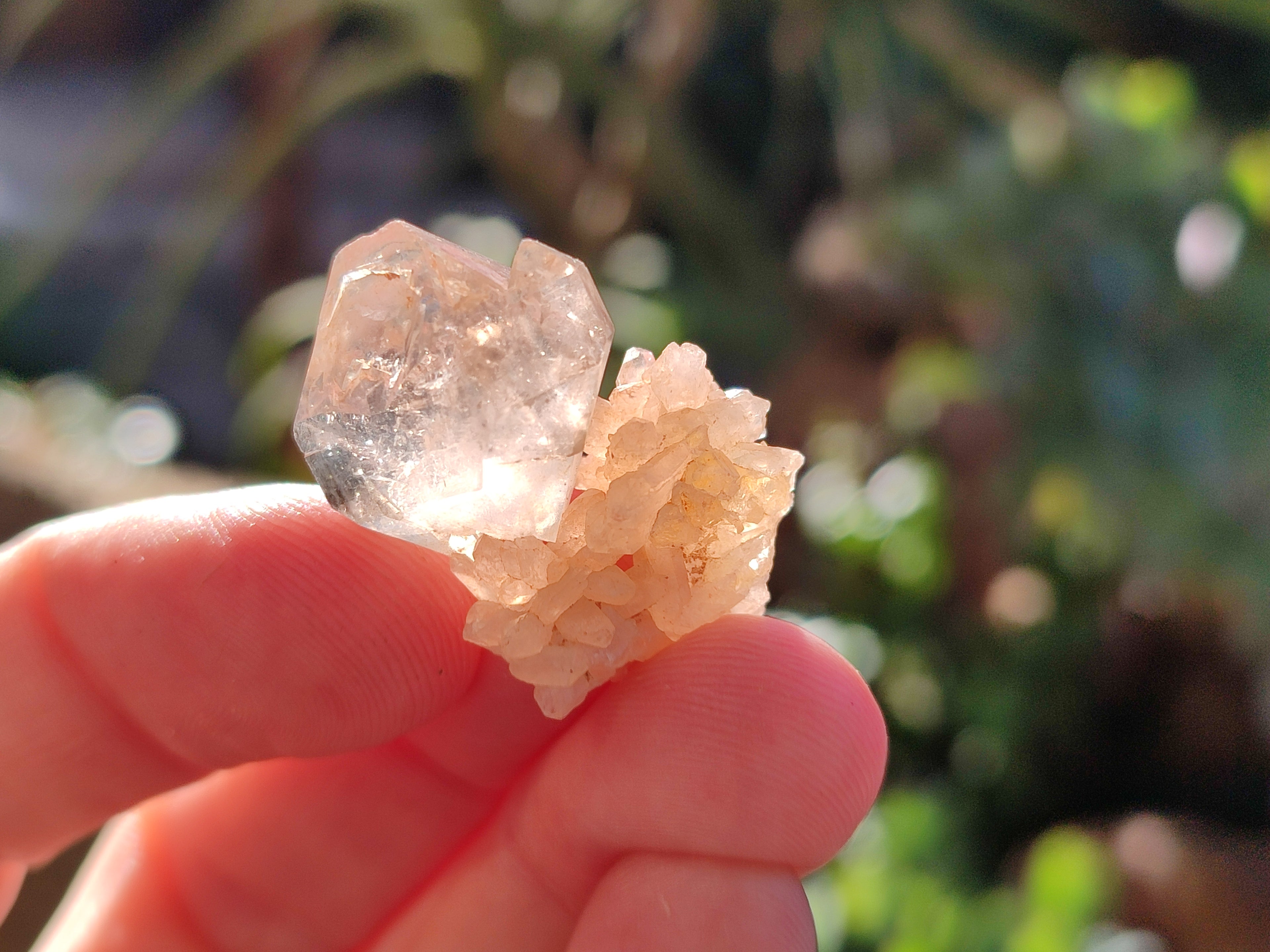 Natural Single Quartz Crystals x 70 From Brandberg, Namibia - Toprock Gemstones and Minerals 