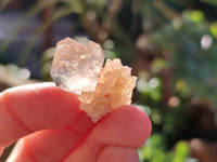 Natural Single Quartz Crystals x 70 From Brandberg, Namibia