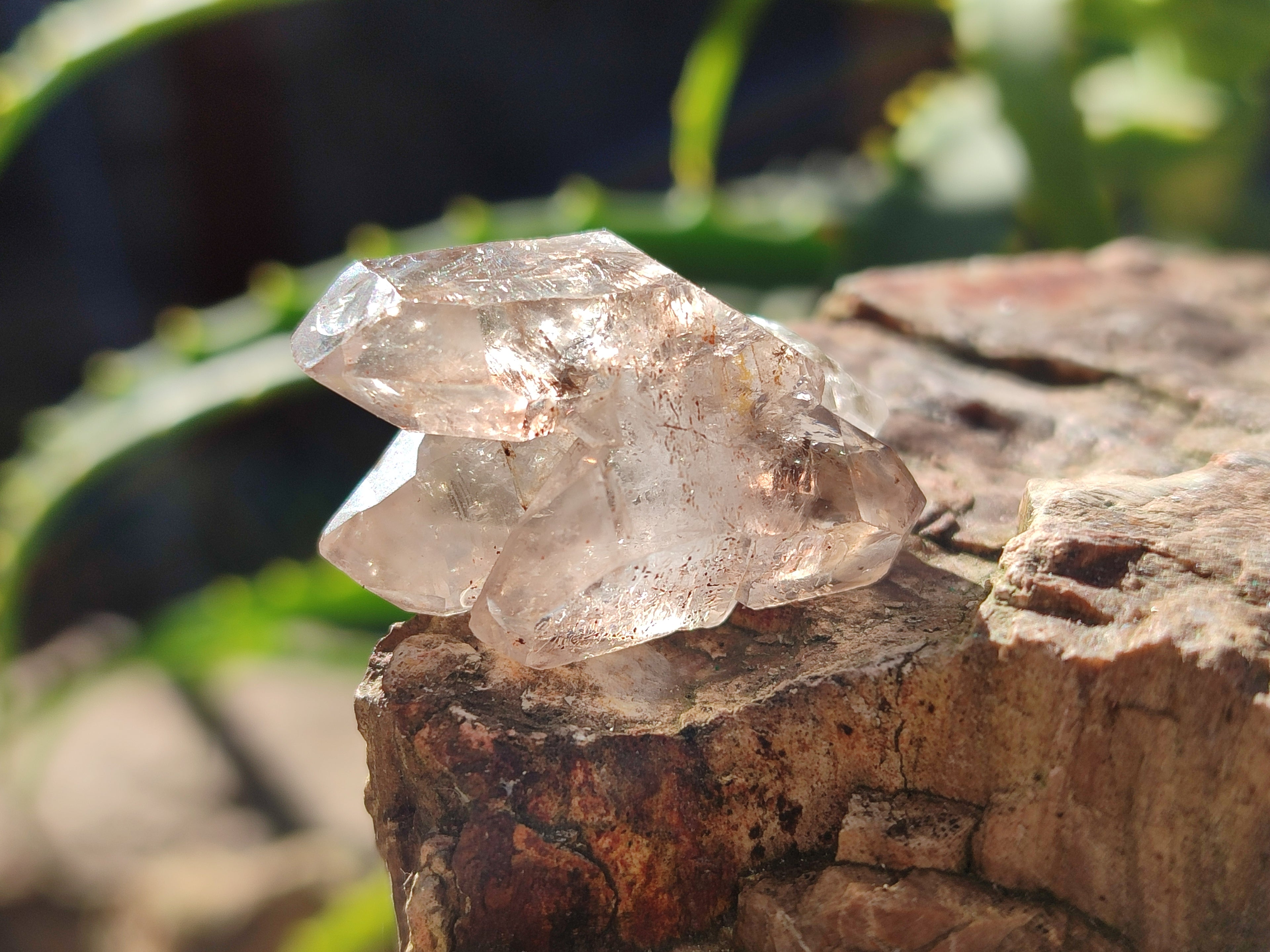 Natural Single Quartz Crystals x 70 From Brandberg, Namibia - Toprock Gemstones and Minerals 