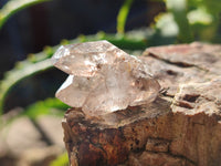 Natural Single Quartz Crystals x 70 From Brandberg, Namibia
