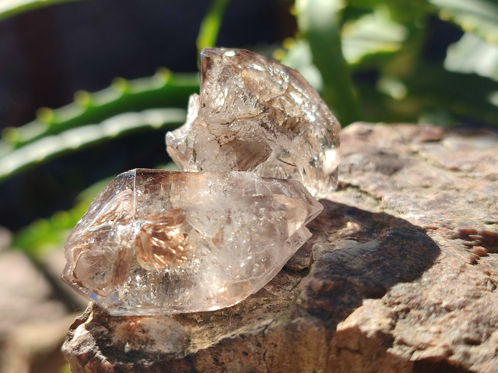 Natural Single Quartz Crystals x 70 From Brandberg, Namibia - Toprock Gemstones and Minerals 