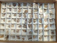 Natural Single Quartz Crystals x 70 From Brandberg, Namibia