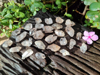 Natural Single Quartz Crystals x 70 From Brandberg, Namibia