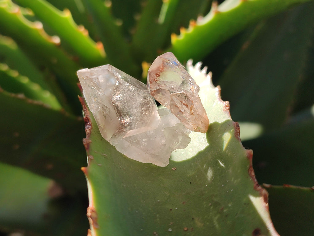 Natural Single Quartz Crystals x 70 From Brandberg, Namibia - Toprock Gemstones and Minerals 