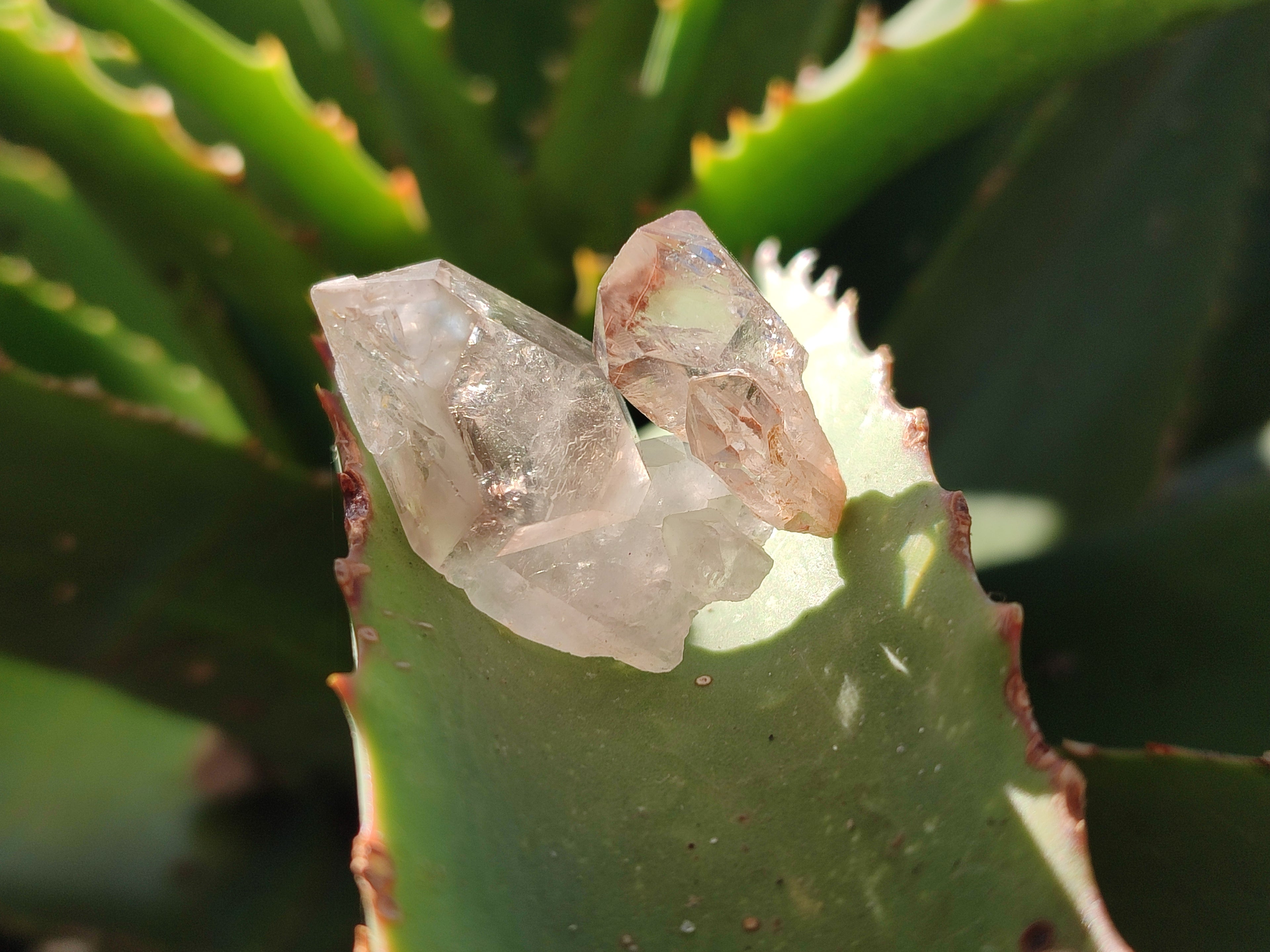Natural Single Quartz Crystals x 70 From Brandberg, Namibia - Toprock Gemstones and Minerals 