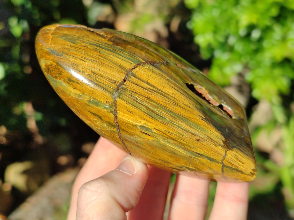Polished Neolite Standing Free Forms x 3 From Prieska, South Africa - Toprock Gemstones and Minerals 