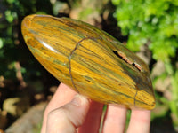 Polished Neolite Standing Free Forms x 3 From Prieska, South Africa
