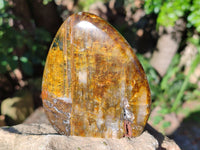 Polished Neolite Standing Free Forms x 3 From Prieska, South Africa