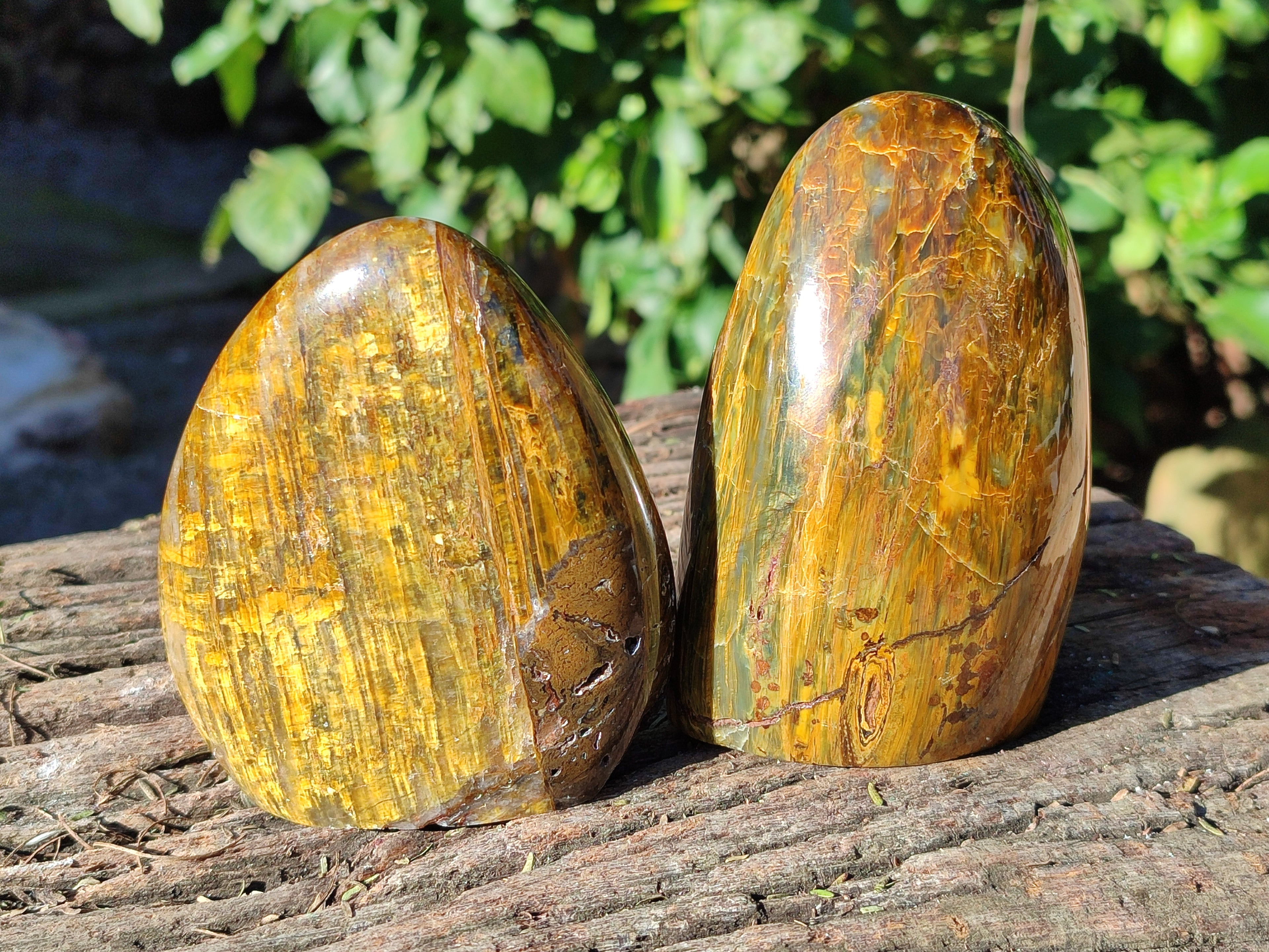 Polished Neolite Standing Free Forms x 3 From Prieska, South Africa - Toprock Gemstones and Minerals 