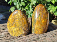 Polished Neolite Standing Free Forms x 3 From Prieska, South Africa