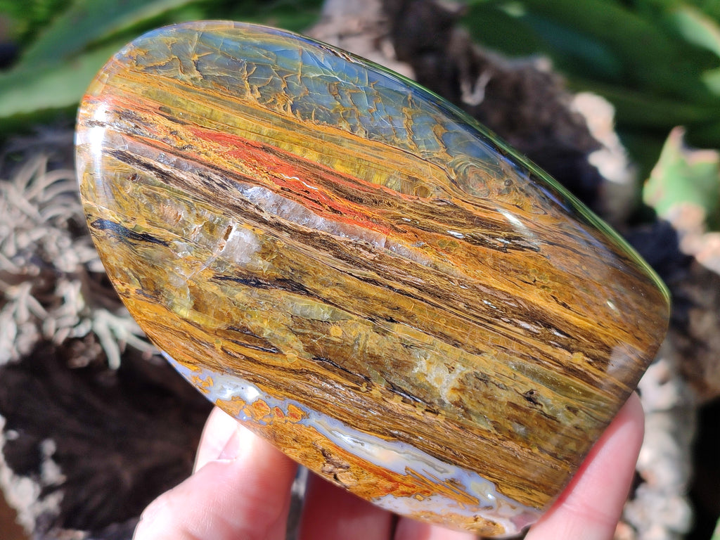 Polished Neolite Standing Free Forms x 3 From Prieska, South Africa - Toprock Gemstones and Minerals 