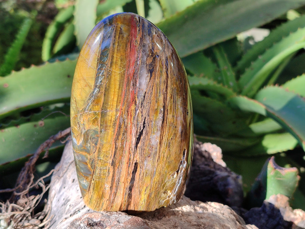 Polished Neolite Standing Free Forms x 3 From Prieska, South Africa - Toprock Gemstones and Minerals 
