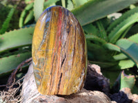 Polished Neolite Standing Free Forms x 3 From Prieska, South Africa