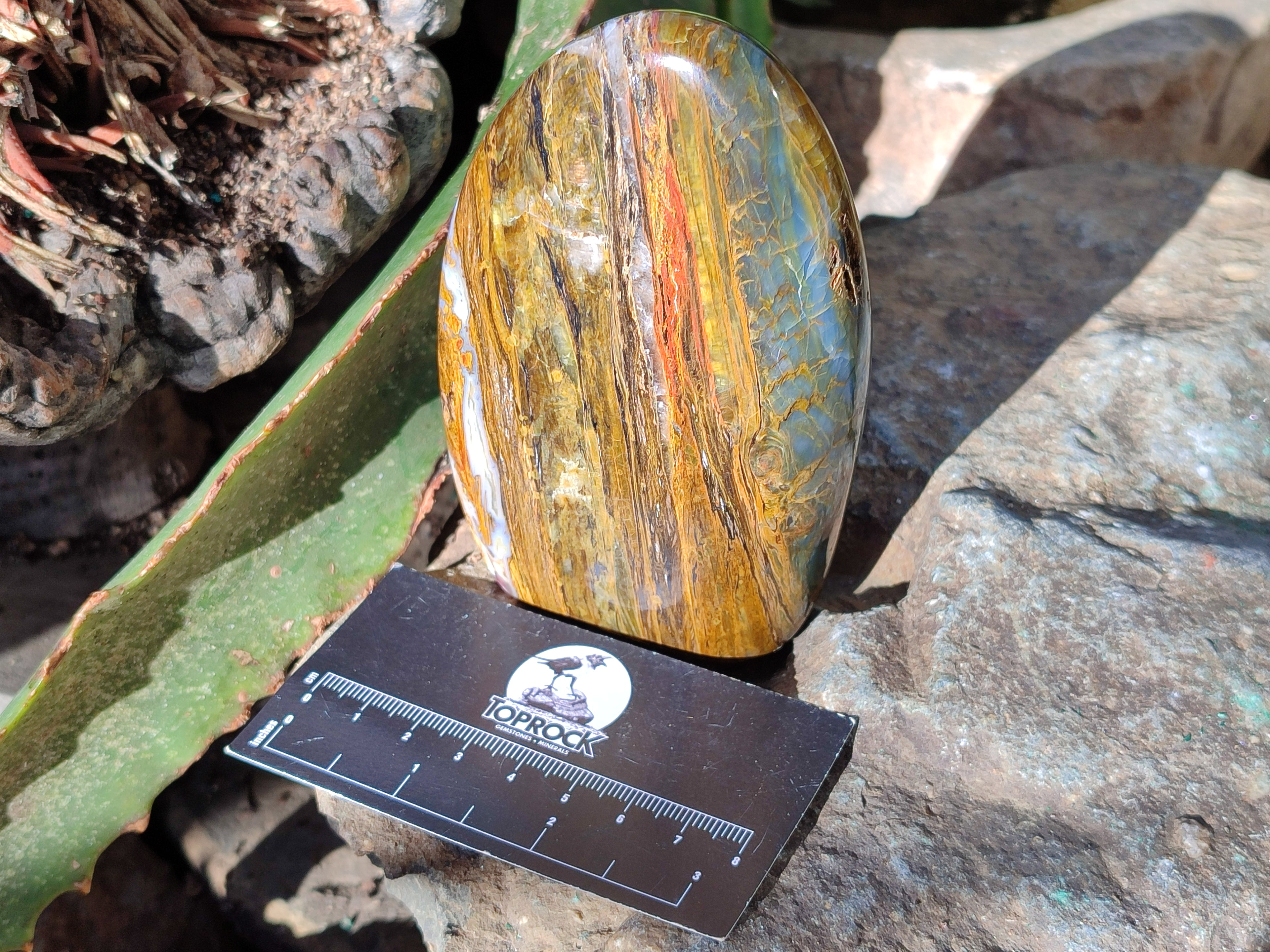 Polished Neolite Standing Free Forms x 3 From Prieska, South Africa - Toprock Gemstones and Minerals 