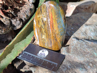 Polished Neolite Standing Free Forms x 3 From Prieska, South Africa