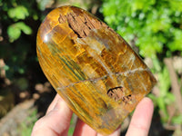 Polished Neolite Standing Free Forms x 3 From Prieska, South Africa