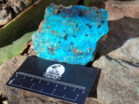 Natural Drusy Coated Chrysocolla on Dolomite Specimens x 6 From Likasi, Congo