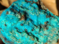 Natural Drusy Coated Chrysocolla on Dolomite Specimens x 6 From Likasi, Congo