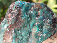 Natural Drusy Coated Chrysocolla on Dolomite Specimens x 6 From Likasi, Congo