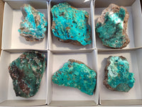 Natural Drusy Coated Chrysocolla on Dolomite Specimens x 6 From Likasi, Congo