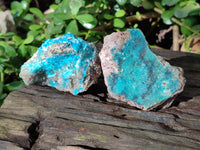 Natural Drusy Coated Chrysocolla on Dolomite Specimens x 6 From Likasi, Congo