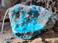 Natural Drusy Coated Chrysocolla on Dolomite Specimens x 6 From Likasi, Congo
