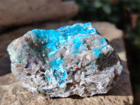 Natural Drusy Coated Chrysocolla on Dolomite Specimens x 6 From Likasi, Congo