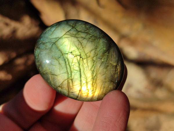 Polished Labradorite Palmstones x 35 From Tulear, Madagascar