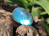 Polished Labradorite Palmstones x 35 From Tulear, Madagascar