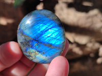 Polished Labradorite Palmstones x 35 From Tulear, Madagascar
