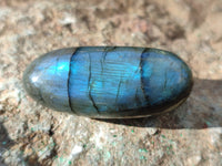 Polished Labradorite Palmstones x 35 From Tulear, Madagascar