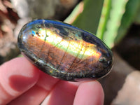 Polished Labradorite Palmstones x 35 From Tulear, Madagascar