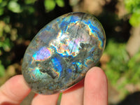 Polished Labradorite Palmstones x 35 From Tulear, Madagascar