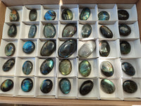 Polished Labradorite Palmstones x 35 From Tulear, Madagascar
