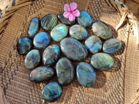 Polished Labradorite Palmstones x 35 From Tulear, Madagascar