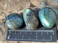 Polished Labradorite Palmstones x 35 From Tulear, Madagascar