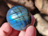 Polished Labradorite Palmstones x 35 From Tulear, Madagascar