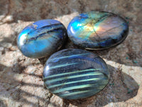 Polished Labradorite Palmstones x 35 From Tulear, Madagascar