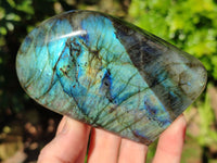 Polished Labradorite Standing Free Forms x 3 From Tulear, Madagascar