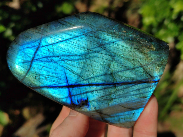 Polished Labradorite Standing Free Forms x 3 From Tulear, Madagascar