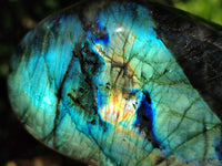 Polished Labradorite Standing Free Forms x 3 From Tulear, Madagascar
