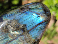 Polished Labradorite Standing Free Forms x 3 From Tulear, Madagascar