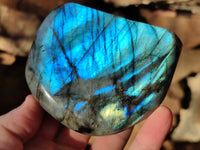 Polished Labradorite Standing Free Forms x 3 From Tulear, Madagascar